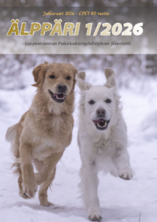 Alppari-1_2026