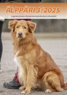 Alppari-3-2025