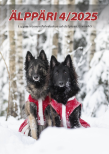 Alppari-4-2025